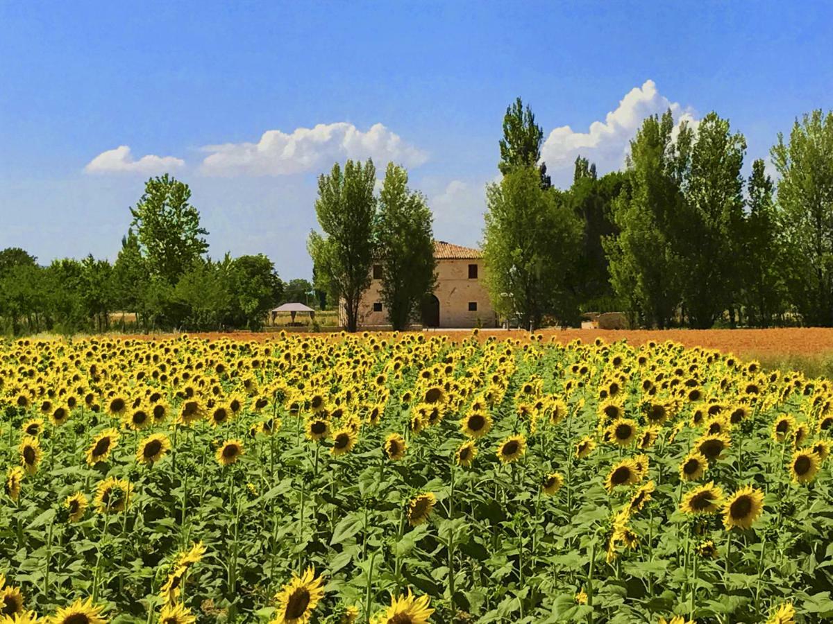 Villa Licinia Foligno Ngoại thất bức ảnh