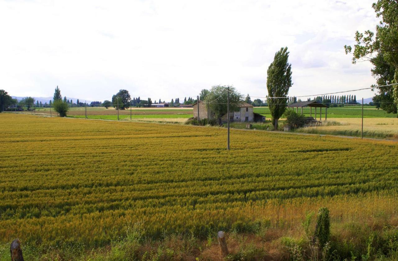 Villa Licinia Foligno Ngoại thất bức ảnh